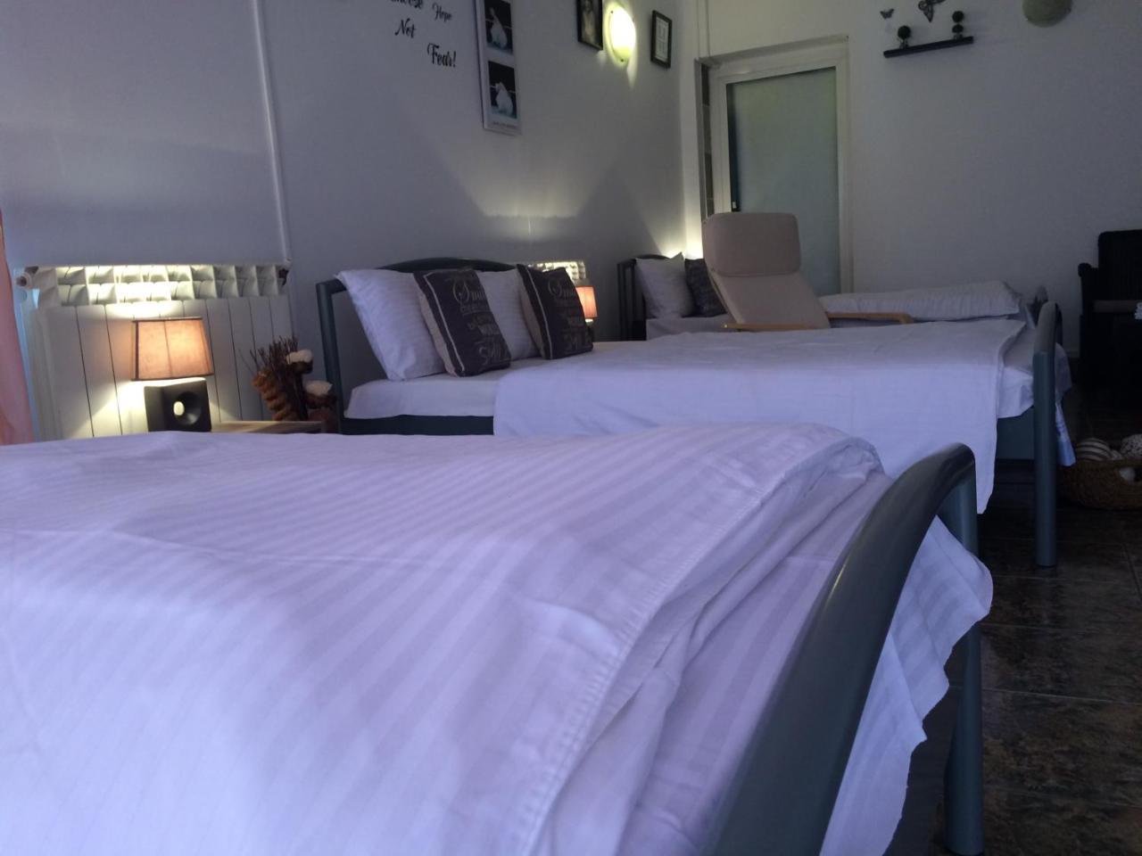 فندق Casa Julius كونستانتا المظهر الخارجي الصورة